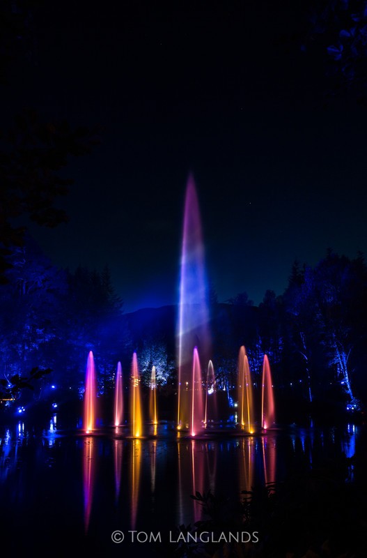 The Enchanted Forest - Events