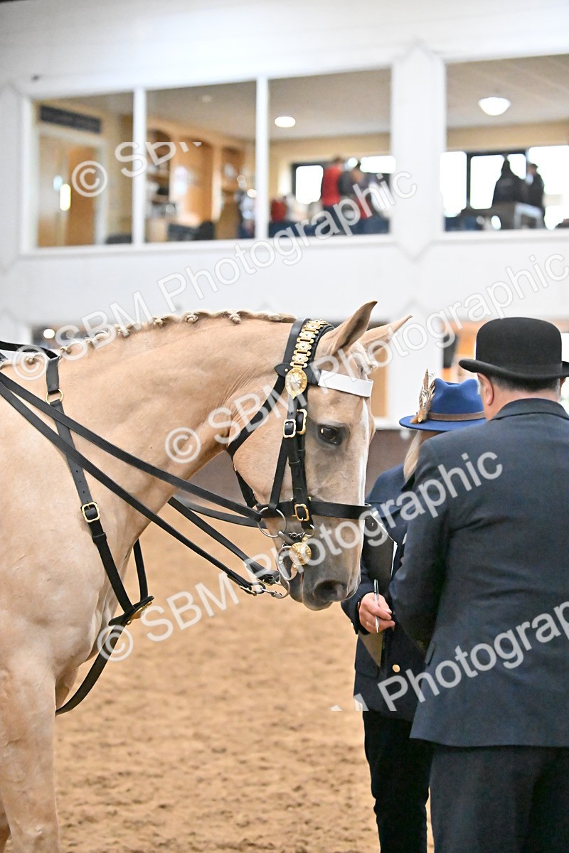 SBM_002895 - Class 35 - Ridden Concours D'elegance