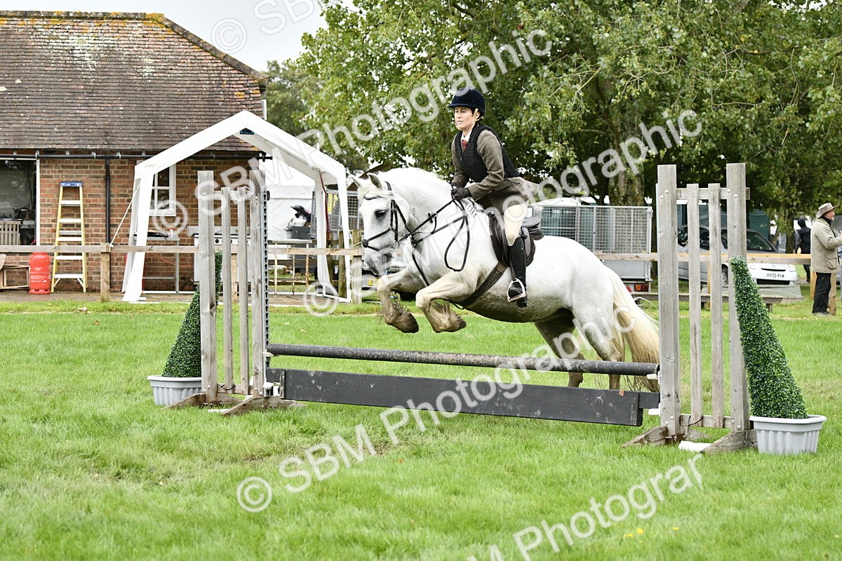 SBM_42268 - S32 - Mountain & Moorland Working Hunter Pony