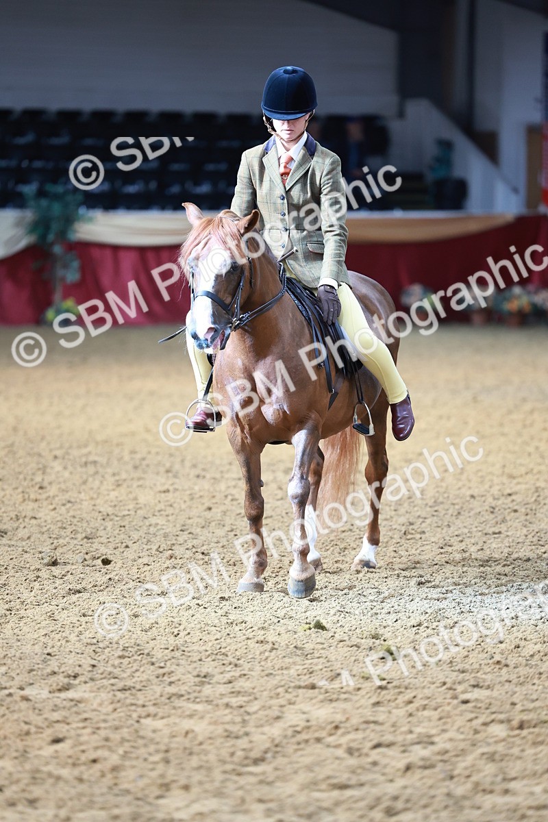 SBM_11904 - Class 102 - Equitation (Best Rider) Adult