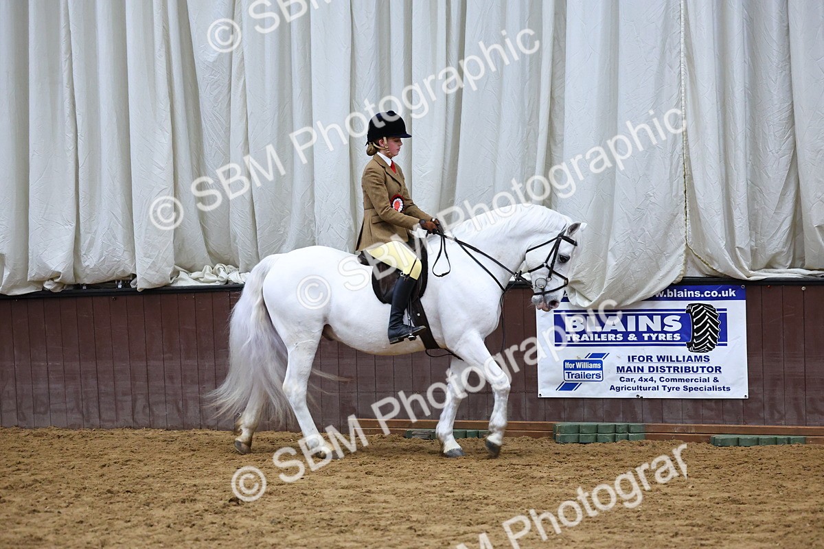 SBM_005572 - M&M Novice WHP Championship