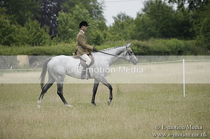 B230619-0917 - Bourne Valley Riding Club Summer Show 23/06/19