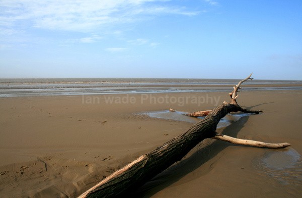 Drift Wood, Somerset _S096 - Somerset landscape Photography