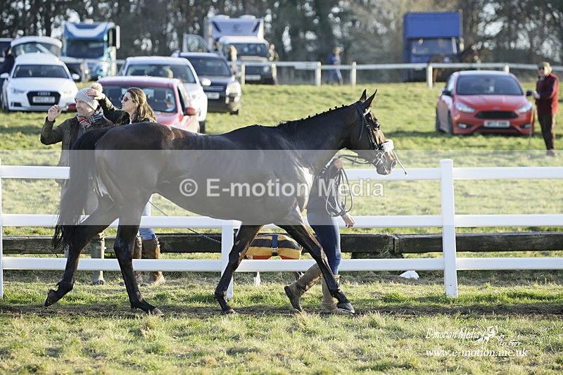 PtP 270222 652 - South & West Wilts Point-to-Point Larkhill 27/02/22