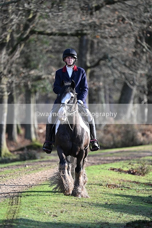 WJ7_7793 - Line 3 (no line 4 or 5)