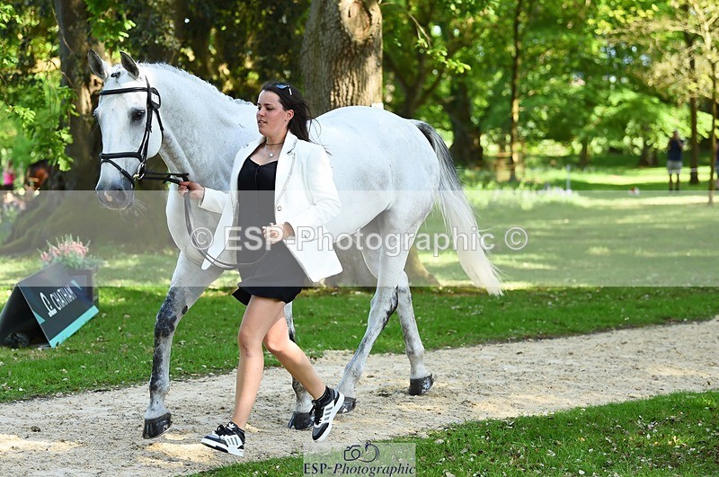 230524-161544-00802 - 261-COOLEY_NOW_OR_NEVER-Georgina_Herrling-WEDTrotUp+DR