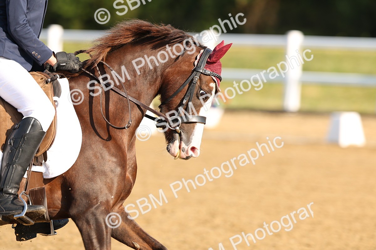 SBM_010236 - Class 1 - Prelim 19 8.02-9.05