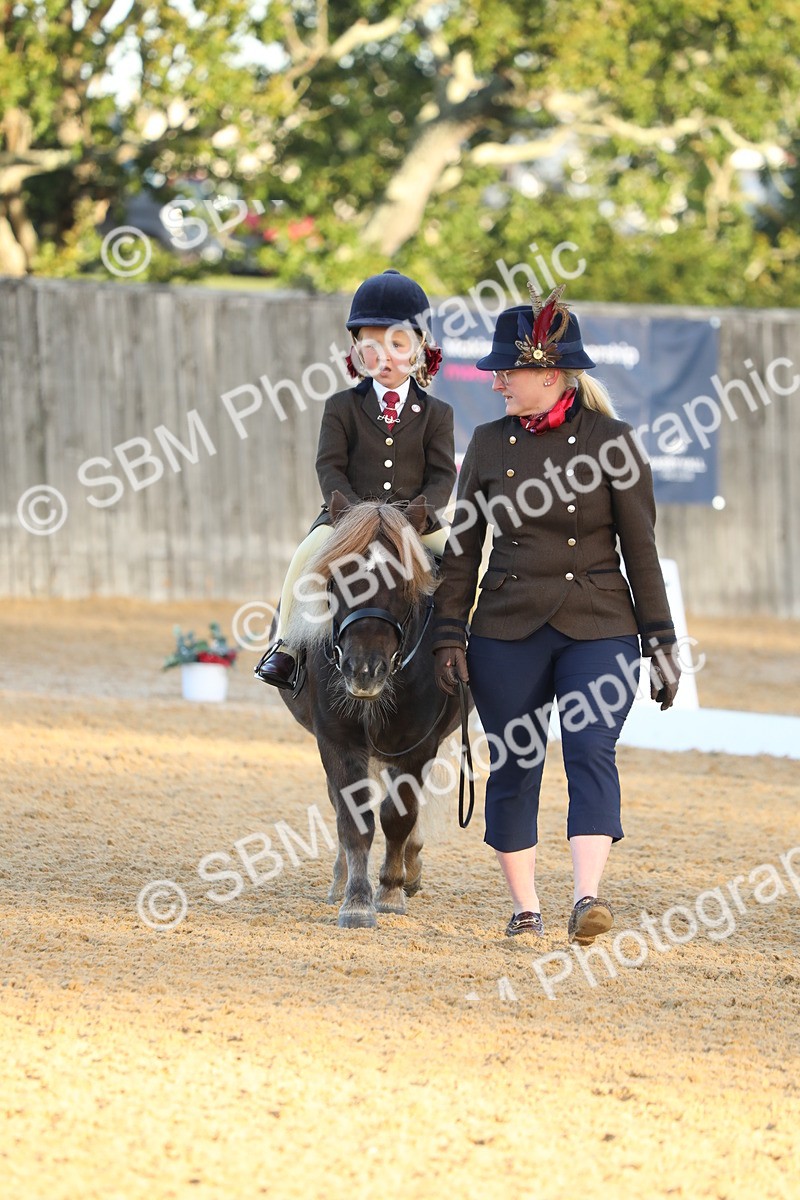 SBM_33542 - D26 - Starers - Lead Rein