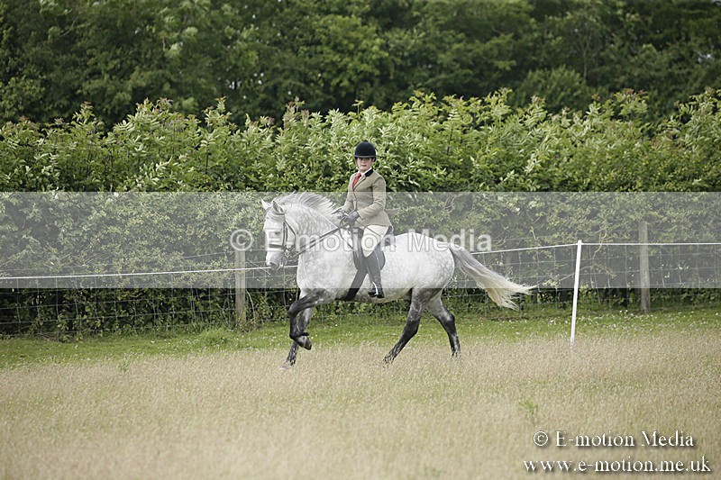 B230619-0495 - Bourne Valley Riding Club Summer Show 23/06/19