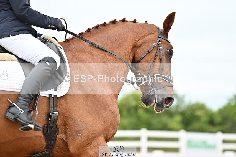 240623A-162229-19926 - Cls 54 BD Medium 73