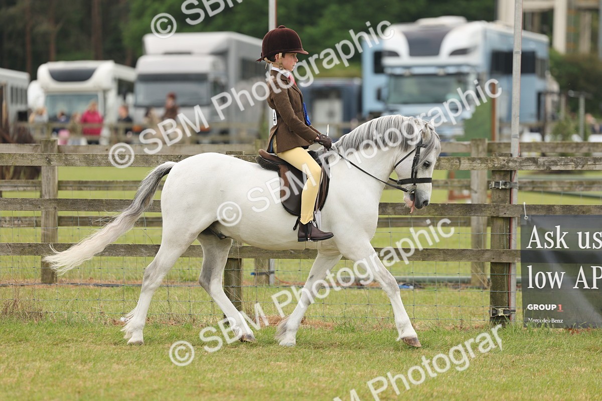 SBM_06931 - Class 74-75 - M&M Lead Rein and First Ridden Pony