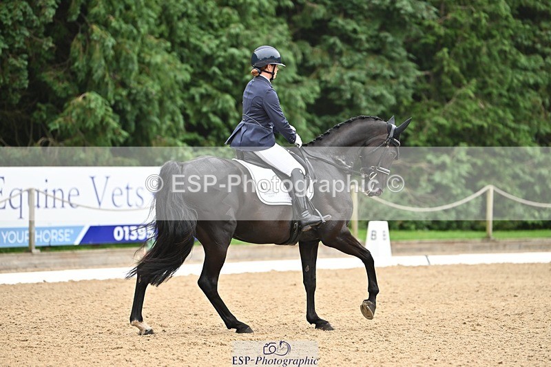 240811-120150-05322 - 118-Katie.Kneen-Springtime.Evergreen