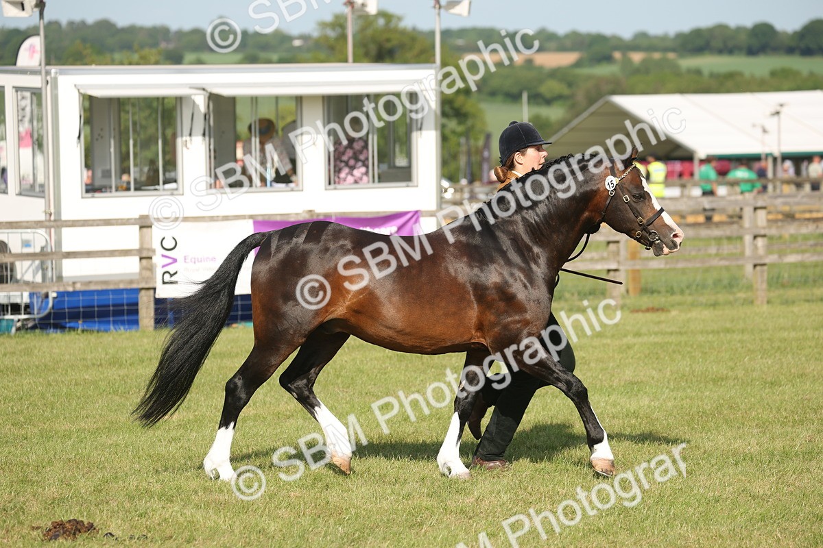 SBM_10385 - Class 33-38 - SSADL RIHS Qualifiers