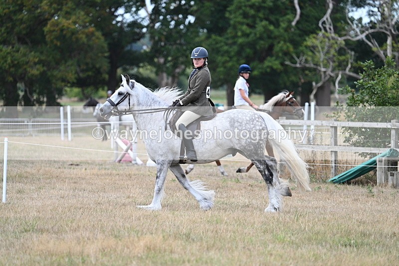 WJ7_5024 - Class 12 Ridden Cob