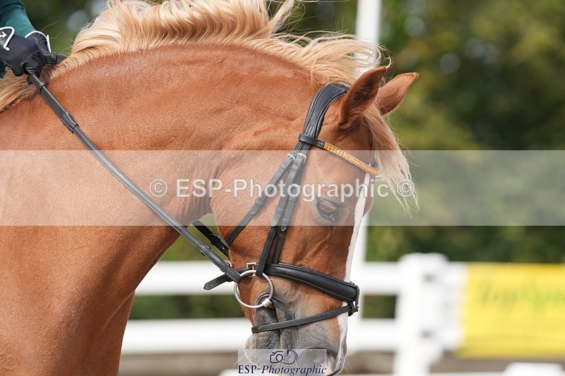 250906-120845-02252 - 078-Sarah.MillerPiper.V