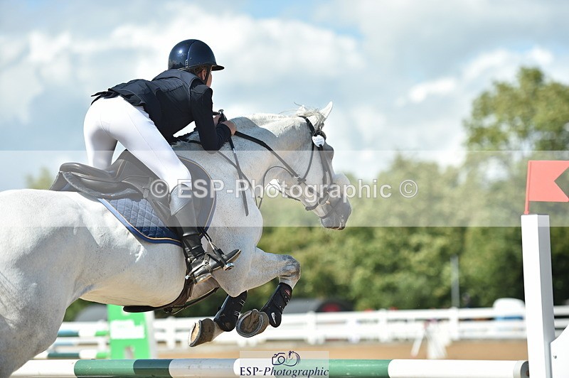 230723A-155334-13214 - Cls 16, 1 Star Bronze 1.15m