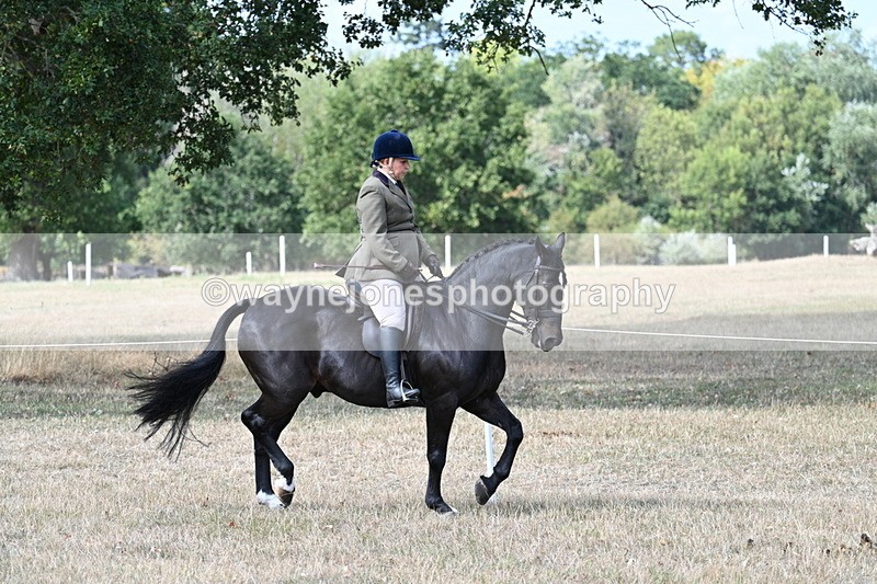 WJ7_6103 - Class 13 Ridden Veterans