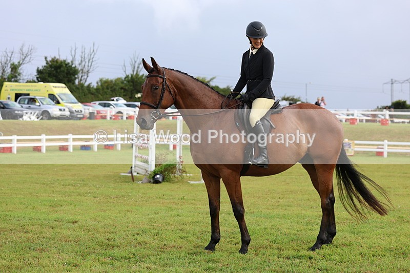 3E7A8121 - Class 2: Rising Star Large Hack/Riding Horse