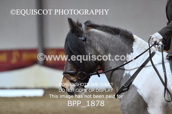 BPP_1878 - INTRO TEST 3