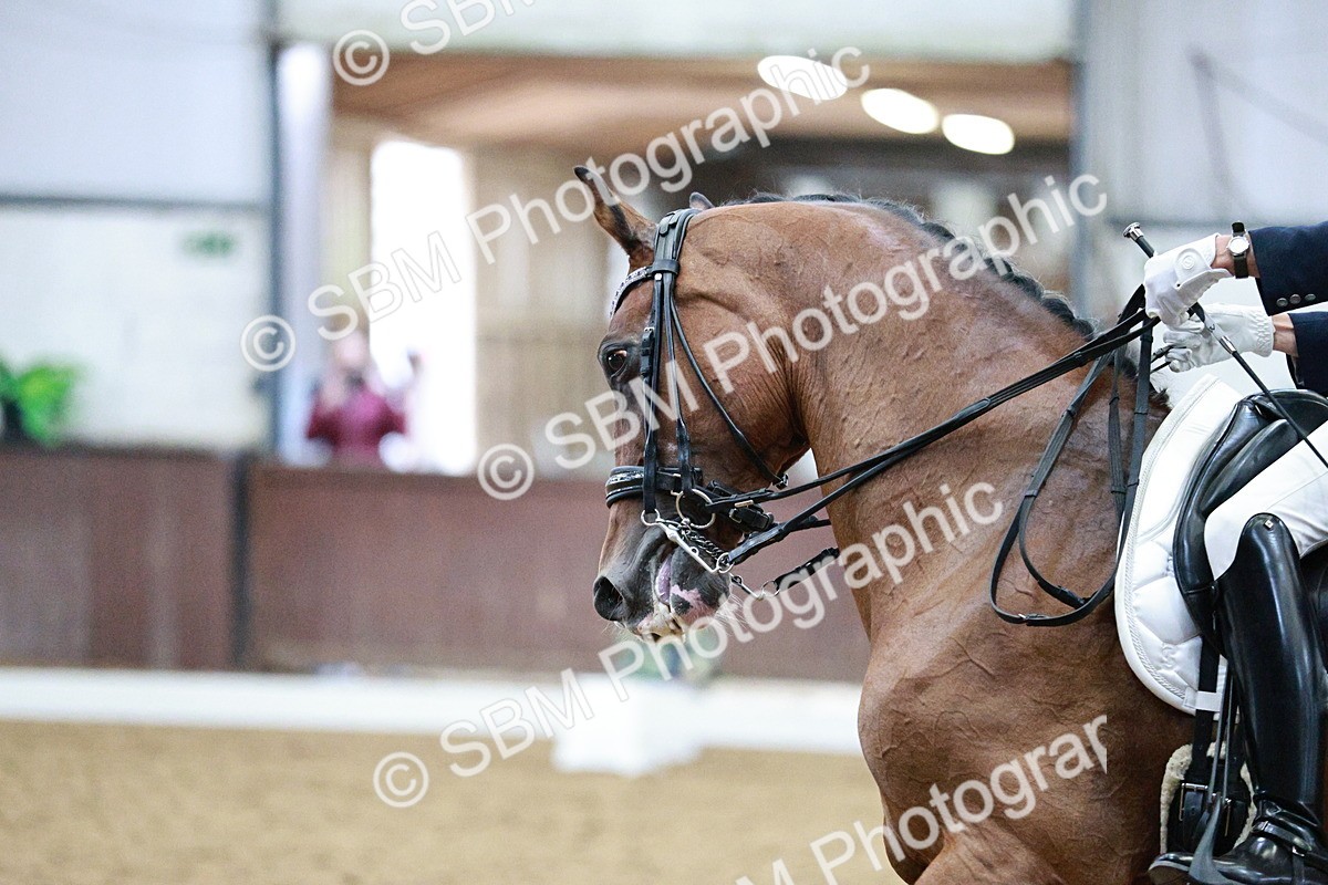 SBM_020653 - Class 13 - FEI INT I - 15.30-16.00