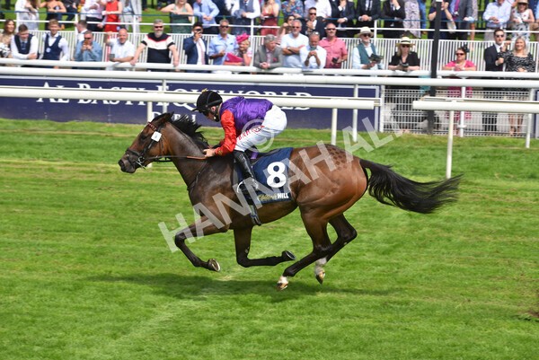yr09072021r2-27 - Race 2: 2.40pm William Hill Summer Stakes