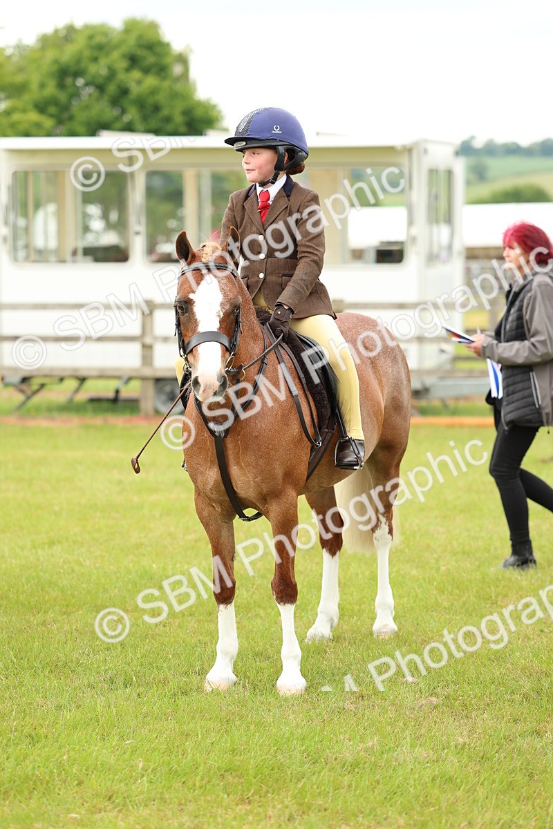 SBM_10389 - Class 44-45 - LIHS BSPS Open Nursery and Cradle Stakes