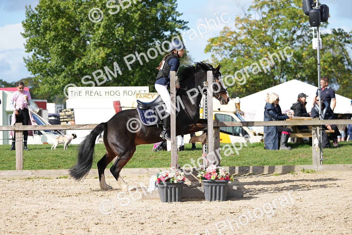 SBM_17799 - J58 - Clear Round 50cm