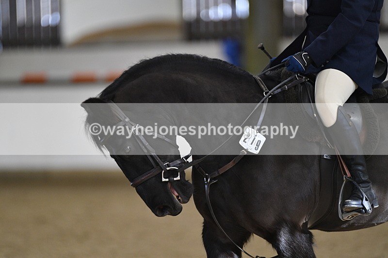 WJ5_7176 - Class 2 Intro Test 2