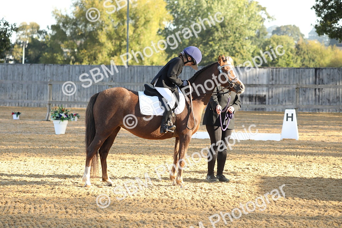SBM_33660 - D26 - Starers - Lead Rein