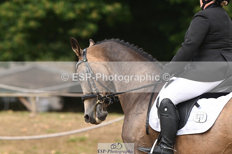 250719A-104320-03988 - 127-Jocelyn.Gilmore-Spring.Lily