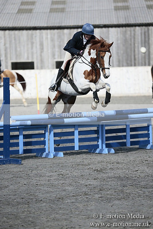 BVRC SJ 170319 543 - Bourne Valley Riding Club Showjumping 17/03/19