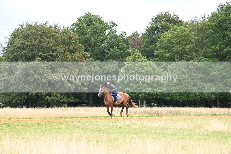 DSC_4986 - Time at Statue 11:10 to 11:42