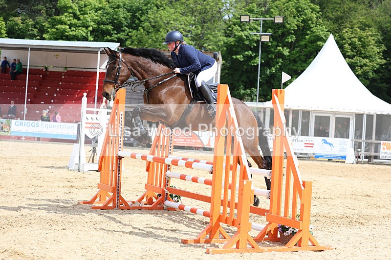 3E7A8708 - Class 4: Senior British Novice/90cm open