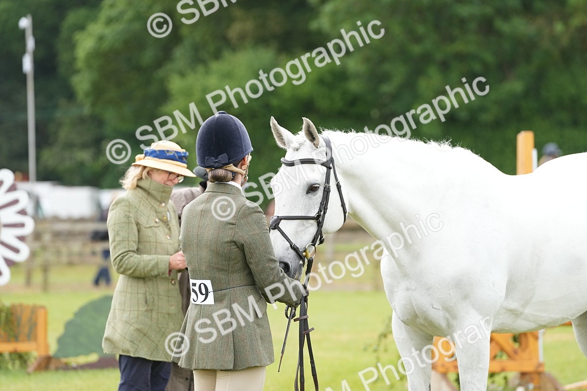 SBM_12732 - Class 97-98 - LIHS BSHA Rising Star Working Show Horse Hunter