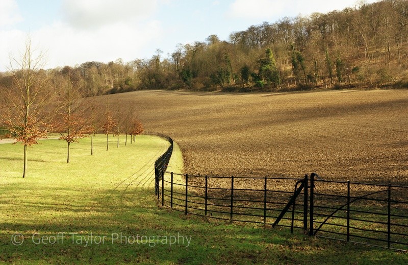 Wellground Farm I - A Rural Landscape