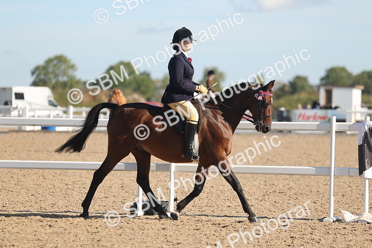 SBM_12275 - Class 304 - Ridden part Bred Horse Pony