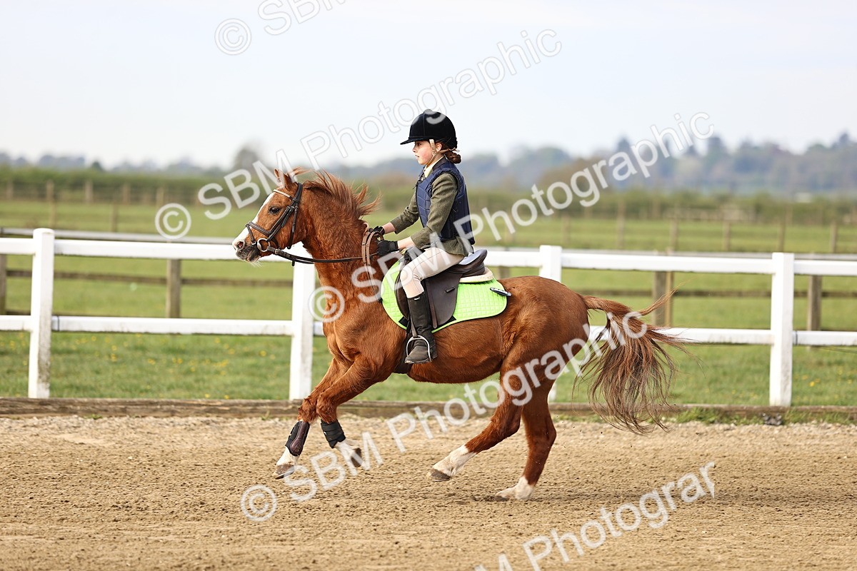 SBM_003033 - Class 1 - 40cm