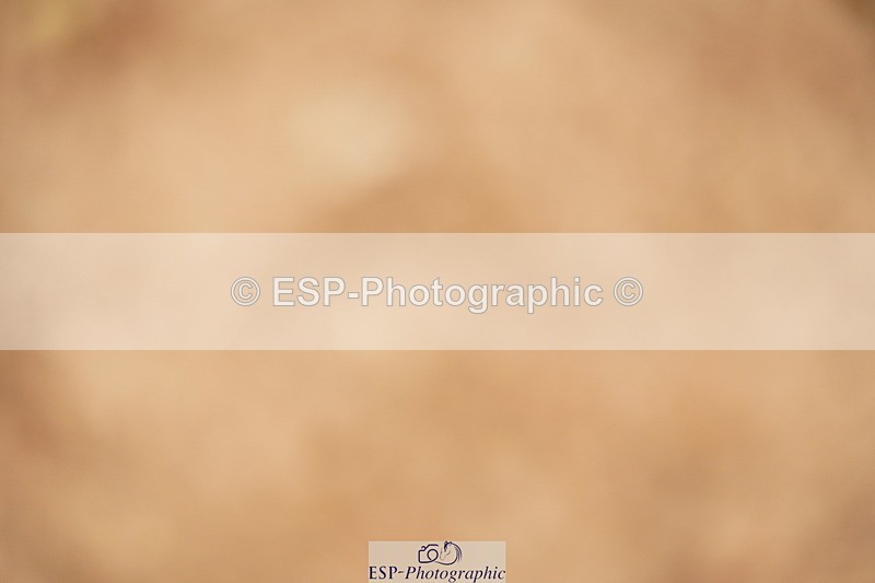 240524A-135408-04123 - Cls 17 National 1.30m