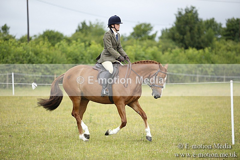 BVR160717-257 - Ring 1 BVRC Show 16/07/17