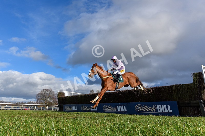 250225-Race 2-Treaty Boy-0635 - Race 2