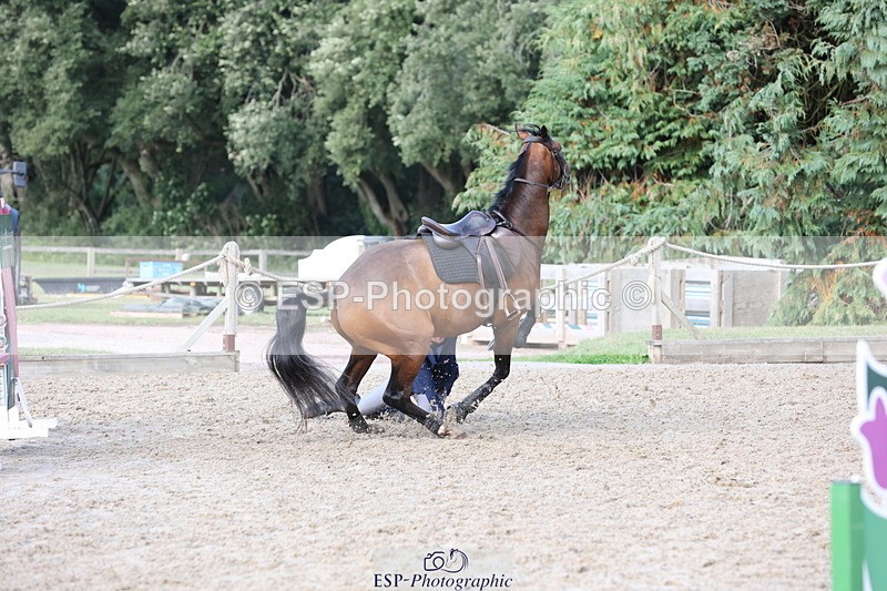 250831A-173014-11539 - Cls 46 85cm Amateur Quali