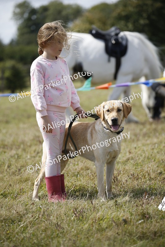 20250831-3774 - Dog Show