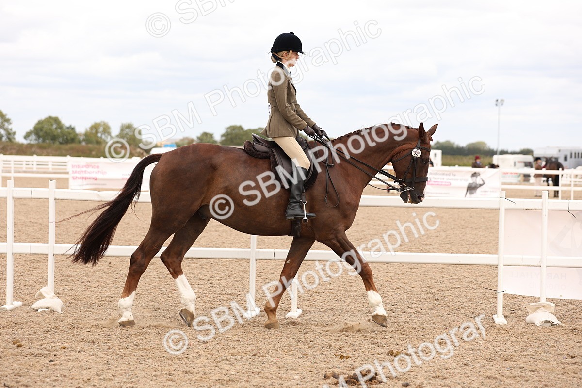 SBM_17186 - Class 213 - Ridden Hunter - Large