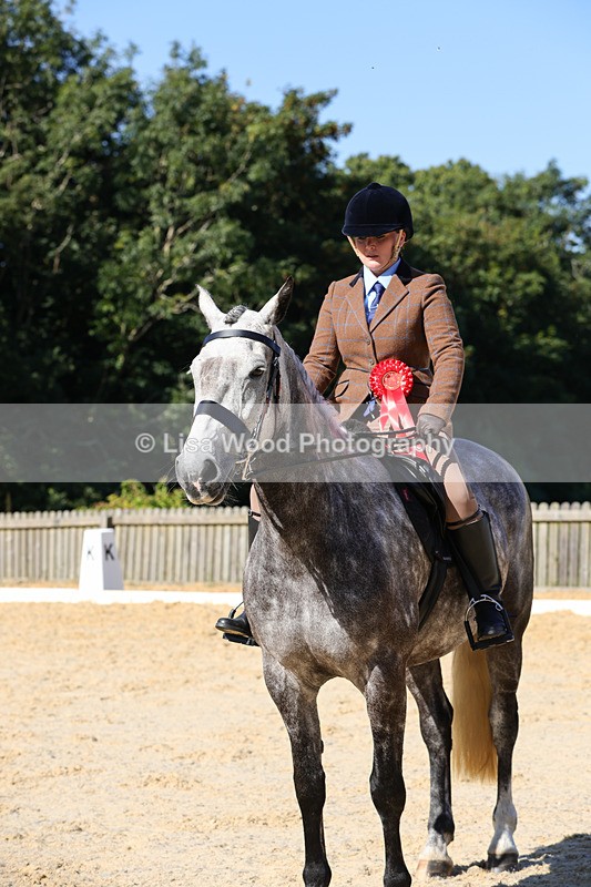 1X9A7834 - Class 9: Open Ridden Hunter