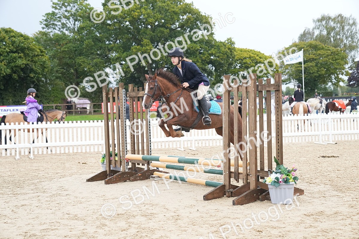 SBM_01777 - J54 - Clear Round 50cm