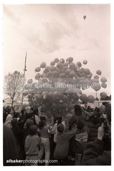 845 - Hulme Gallery (d)