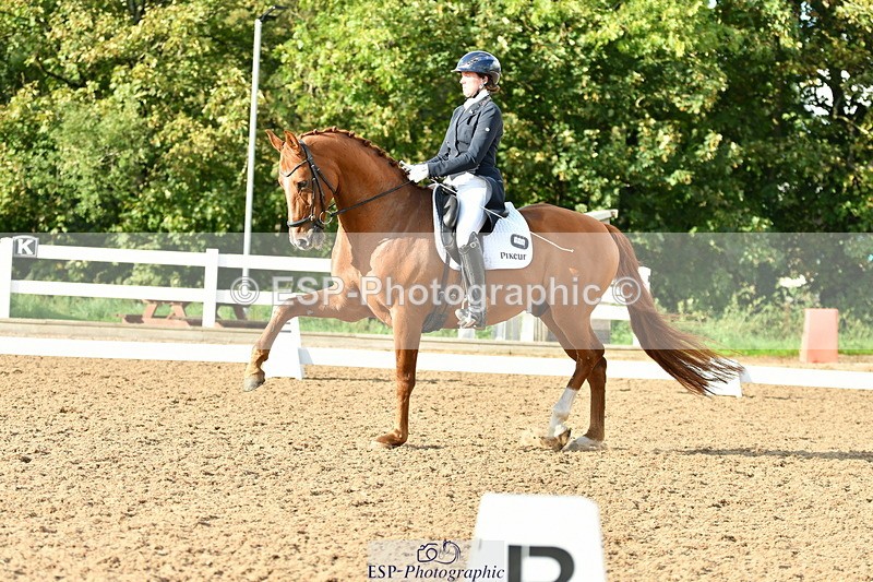 230912A-172324-01995 - Cls 23 FEI Grand Prix