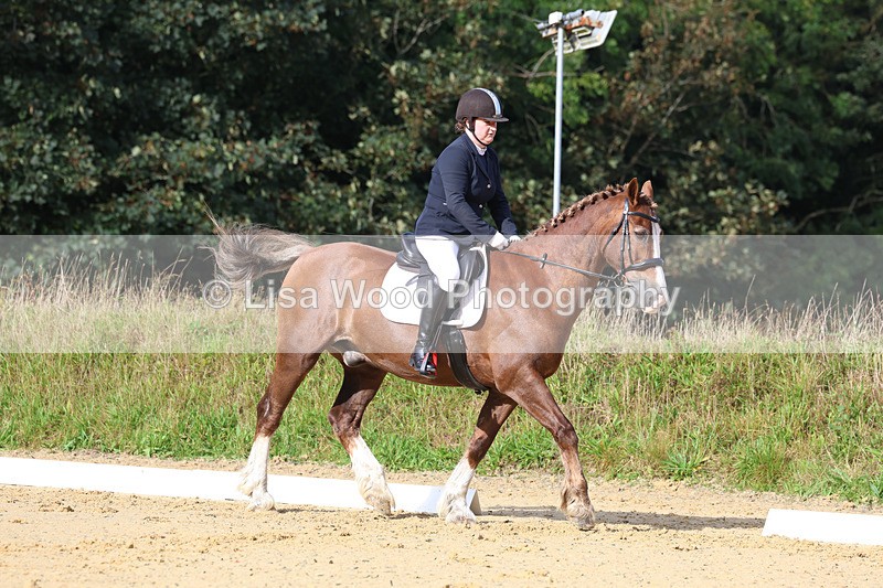 3E7A2227 - Class 1: Intro 4 2024 section A