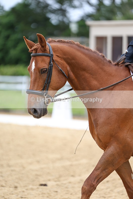 3E7A9389 - Class 2: Intro 1 2024 Section B