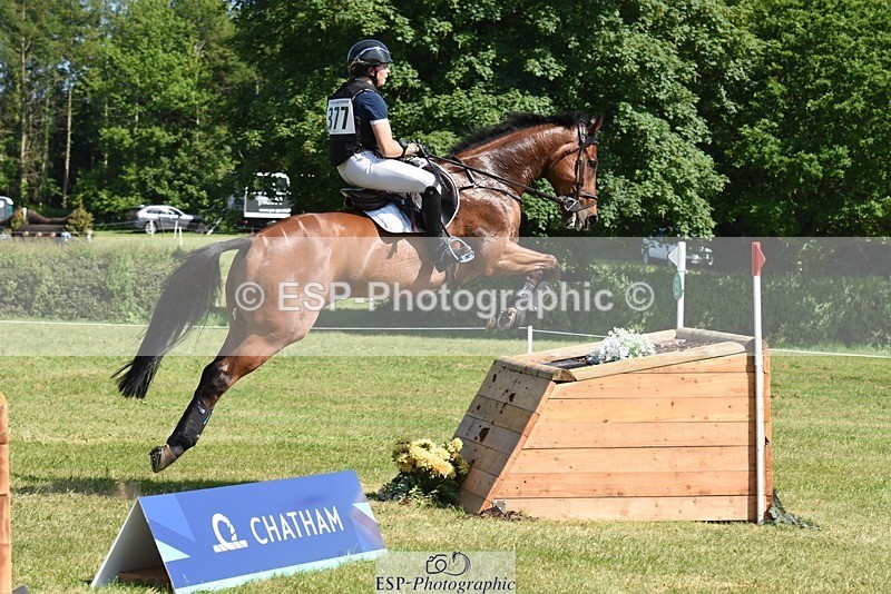 230527-154934-12282 - 377-GOLD_NUGGET-Jillian_Giessen-XC